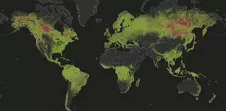 Los incendios forestales destruyen en todo el mundo el doble de árboles que hace 20 años