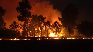 El riesgo de incendios forestales se intensificará en Extremadura en las próximas horas