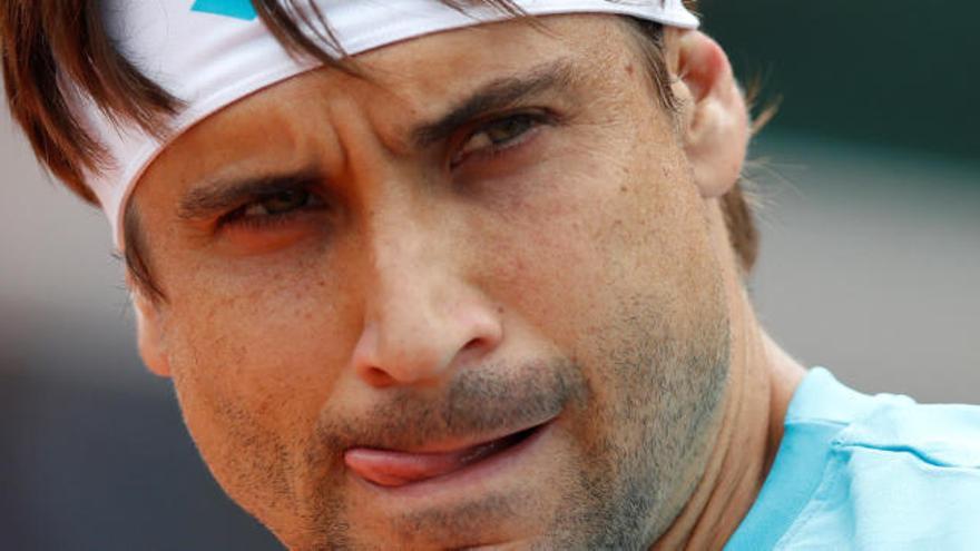 David Ferrer