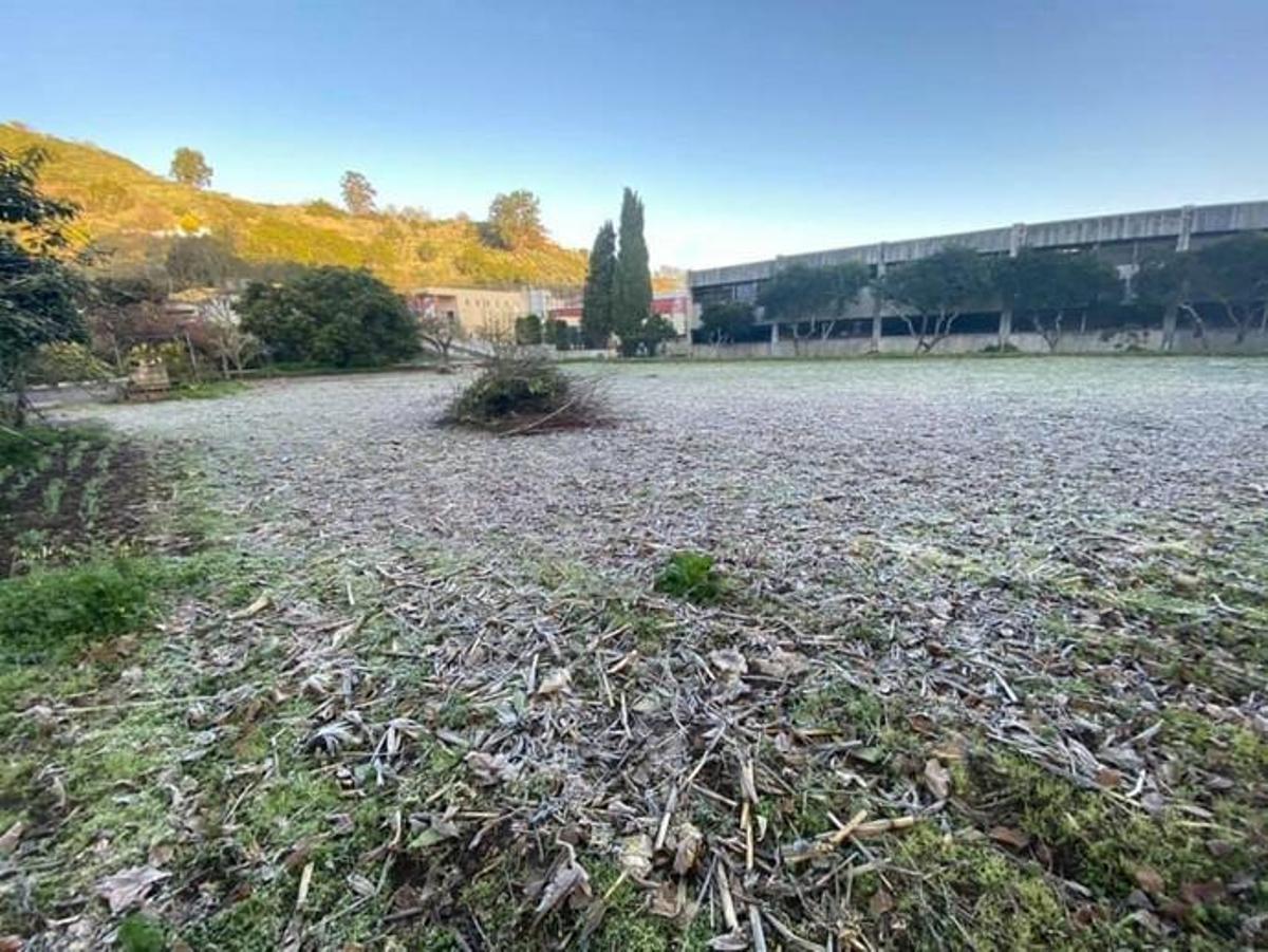 Escarcha en el solar al colegio en Valleseco.