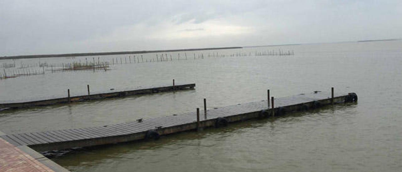 L´Albufera pasa en 48 horas de estar bajo mínimos a tener que abrir las compuertas