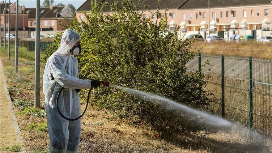 Coria del Río fumiga zonas verdes y parques para luchar contra el virus del Nilo