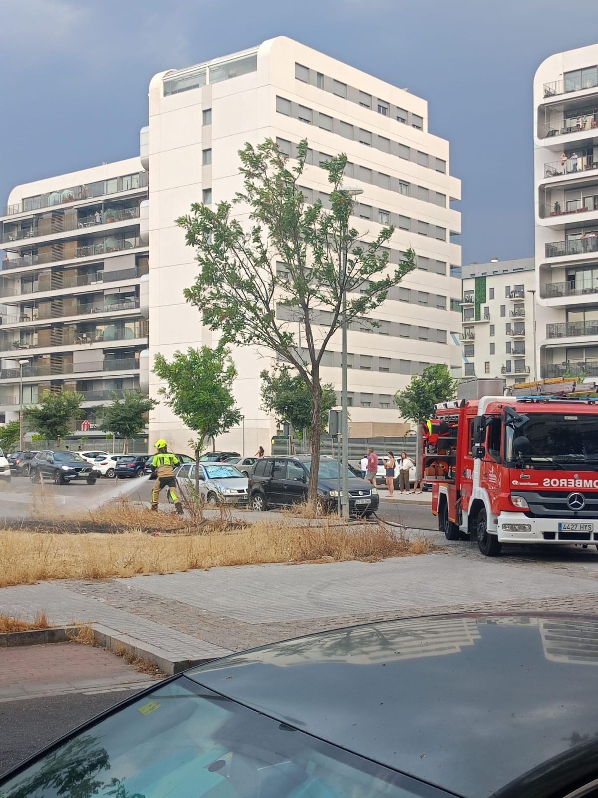 Los bomberos de Córdoba, durante la extinción del incendio de un solar lleno de maleza en Fuente de la Salud.