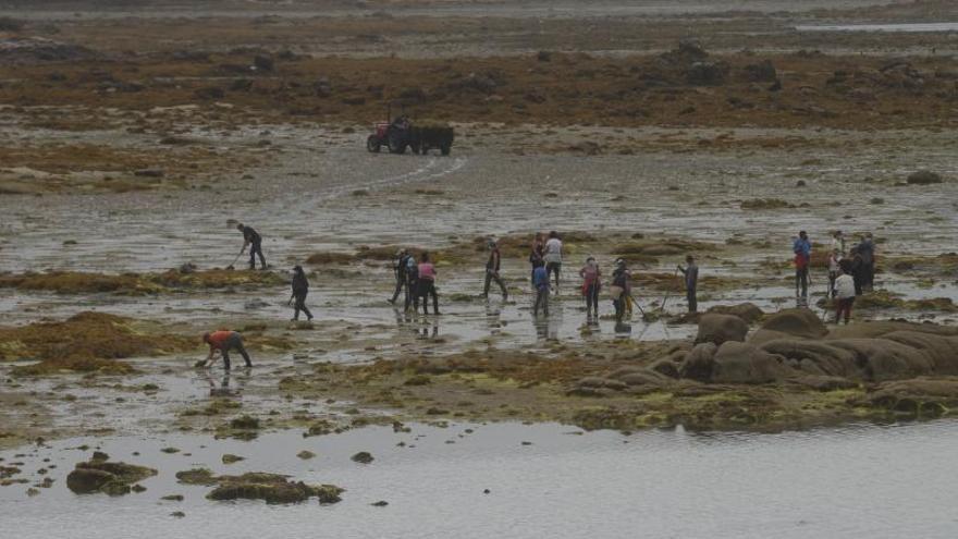 Mariscadoras de vilanova limpiando el arenal de As Patiñas.