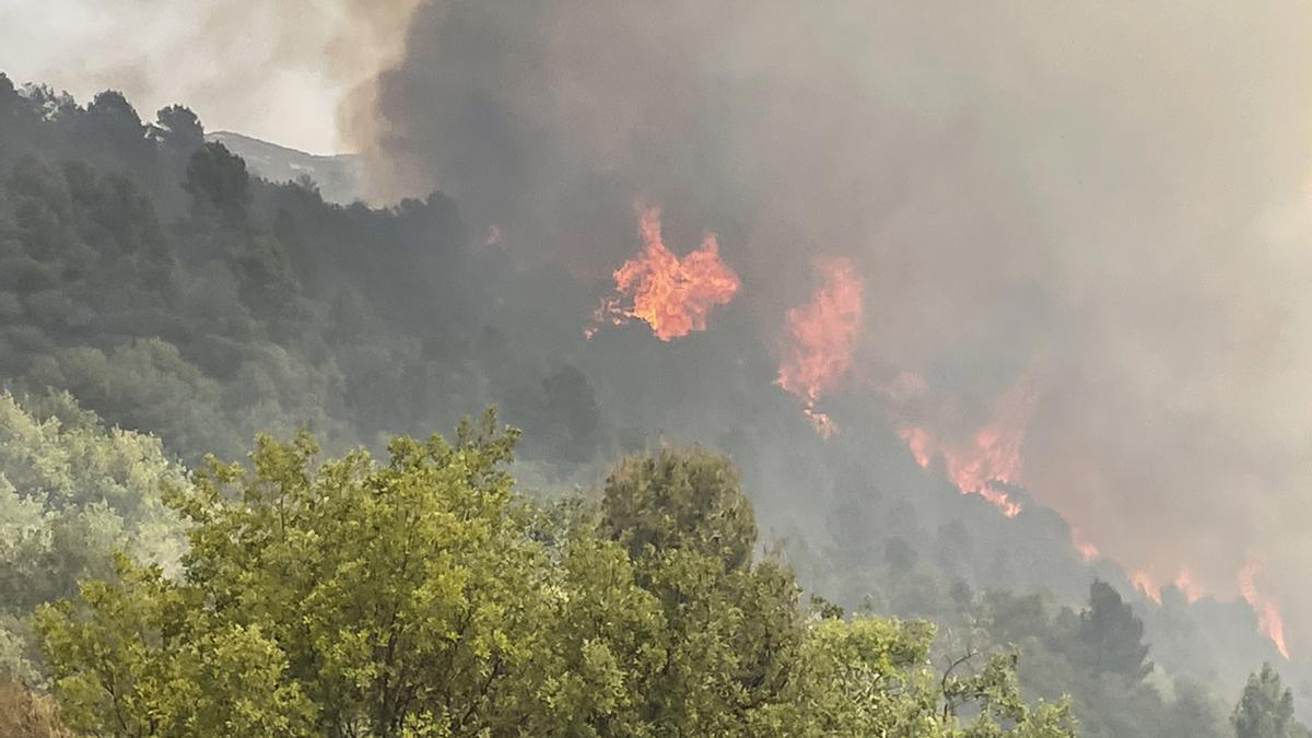Los bomberos controlan el incendio de Lleida y ralentizan frente en Portbou
