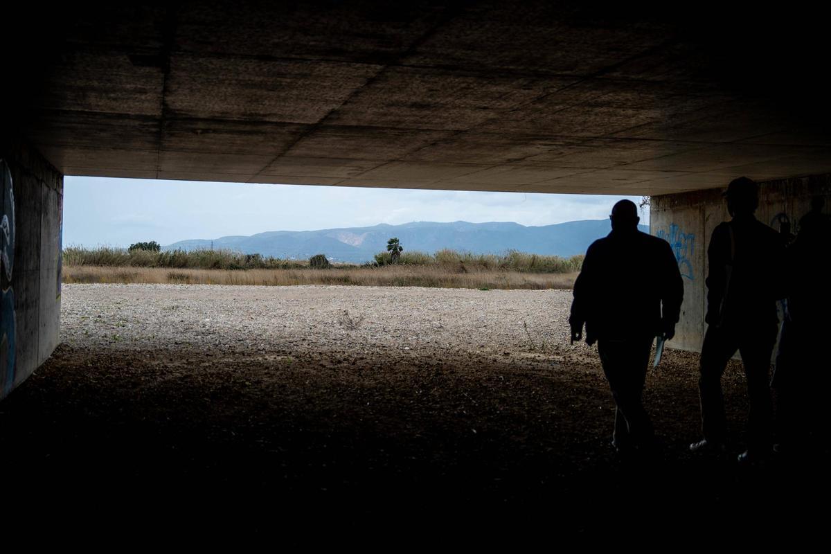 Espacios ya naturalizados por Aena junto al aeropuerto de Barcelona-El Prat.