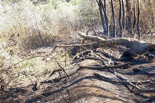 Los Bombers controlan el incendio forestal de Riba-roja d'Ebre (Tarragona), que ha quemado 2,7 hectáreas