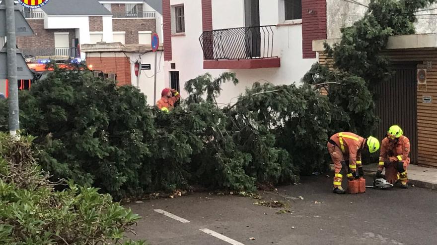 El granizo y las trombas de agua tumbas árboles y destrozan placas solares