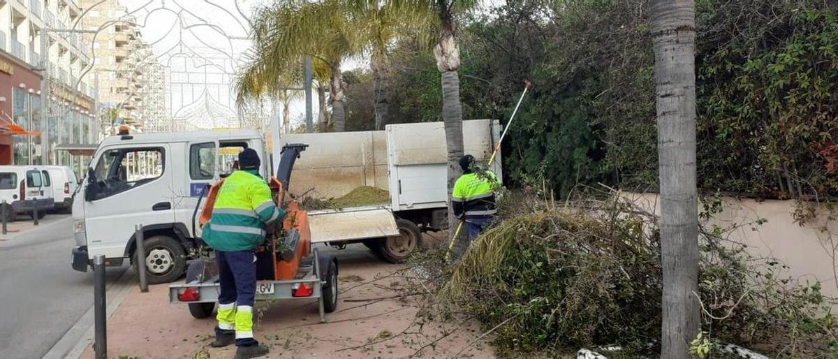 Dos trabajadores desarrollando tareas de jardinería en la zona de Les Amplàries.