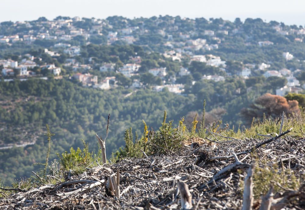 El Gobierno finaliza los trabajos de restauración en el paraje de la Granadella