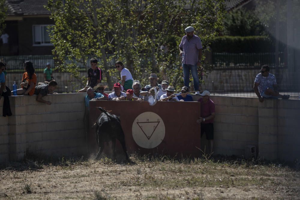 Fiestas en la provincia | Encierro en Fuentelapeña