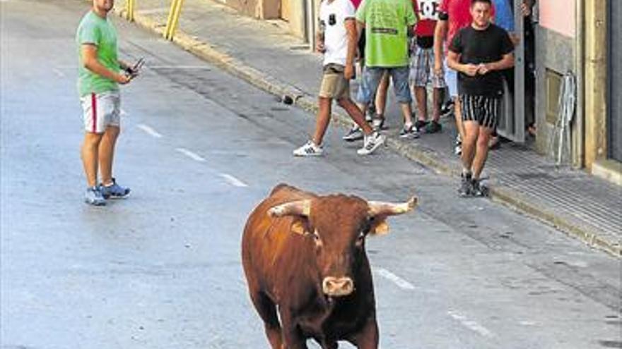 Un joven de 20 años, herido leve por un novillo en Alcalà de Xivert