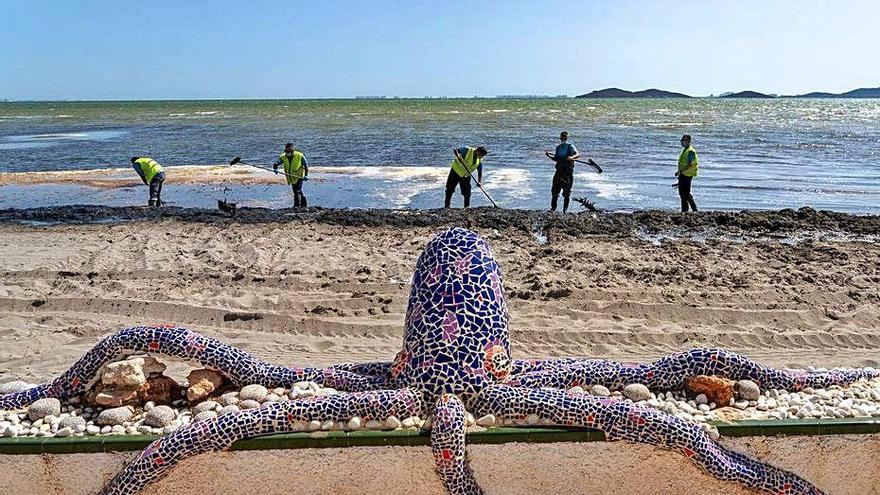 Operarios retiran restos de fango y lodo en el Mar Menor.