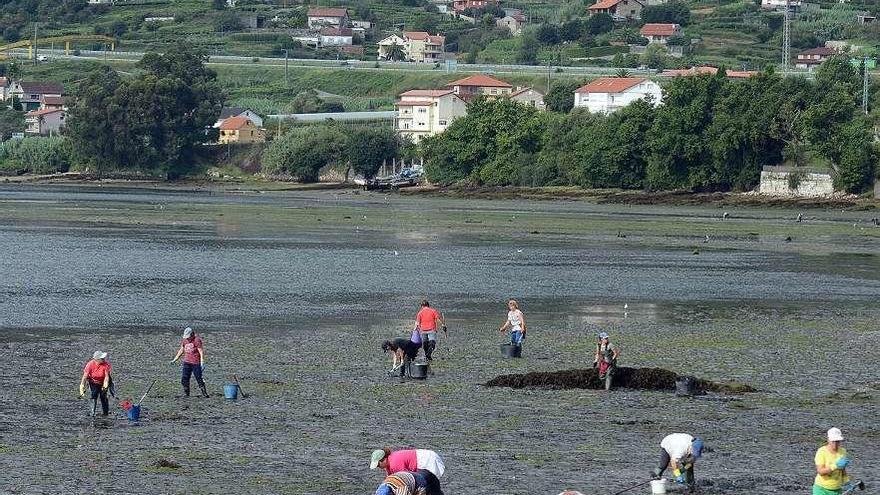 Mariscadores a pie trabajando legalmente en la ría. // Rafa Vázquez