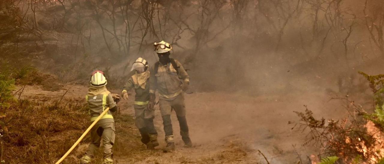 Incendio que arrasó el verano pasado más de 400 hectáreas en A Fracha.