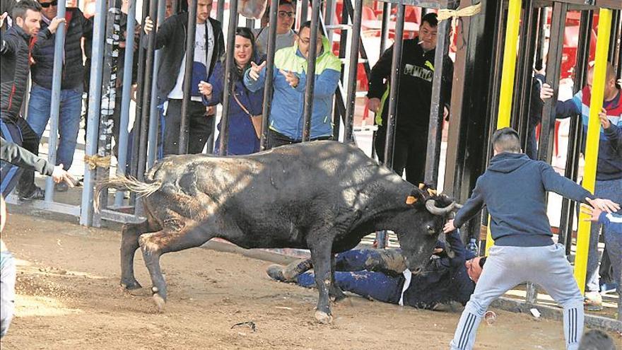 Seis heridos en el comienzo del concurso de ganaderías de Onda