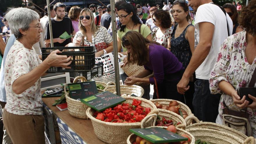 ¿Sabes dónde comprar los mejores productos ecológicos en Mallorca?