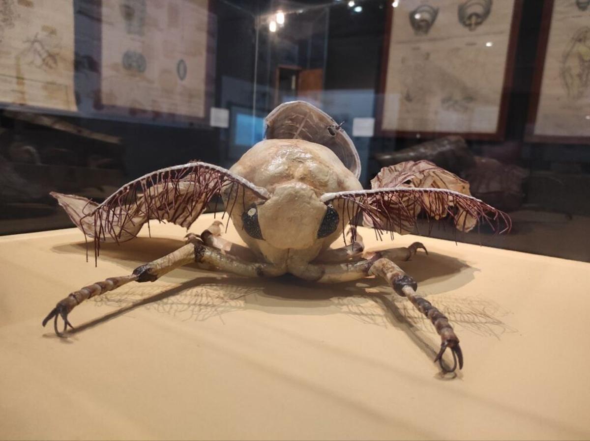 Pieza de la exposición 'La Seda en Murcia: Entretejiendo Historia y Ciencia'.