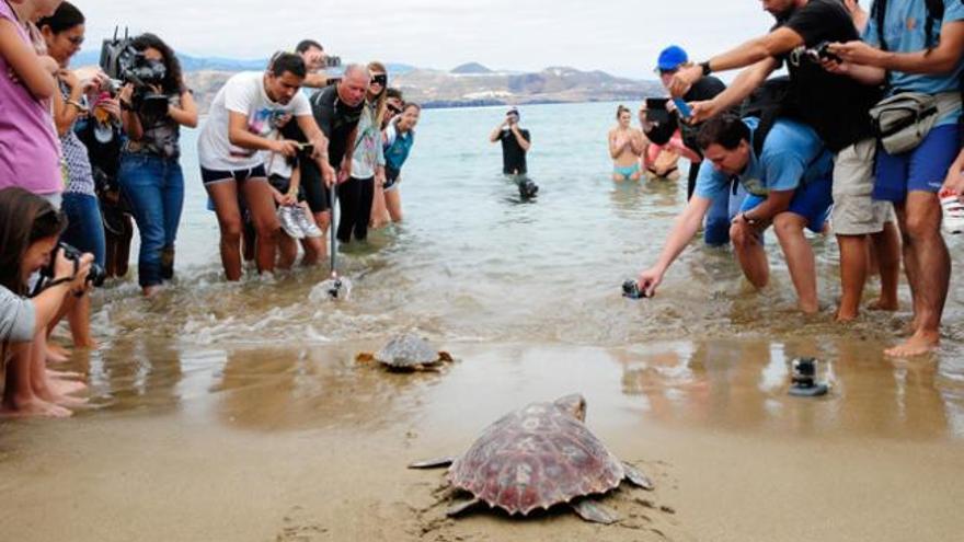 Las cinco bobas regresan al mar