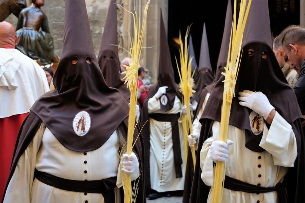 Procesión del Domingo de Ramos en Palma