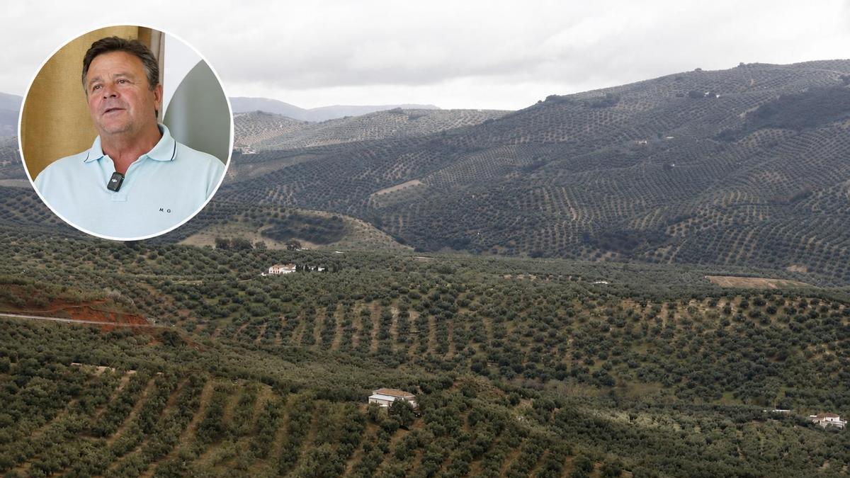 Paisaje de olivares de montaña en la Subbética; en el círculo, José Gilabert.