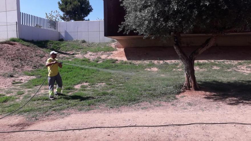 Paterna intensifica la limpieza de los pipicanes ante la llegada del calor