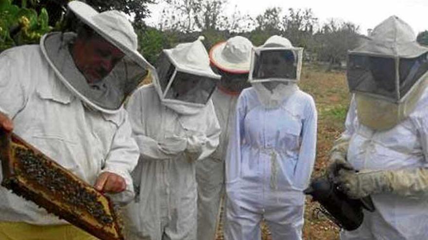 Grupo de turistas, con el traje típico de apicultor, observando una colmena en Son Frare de Petra.