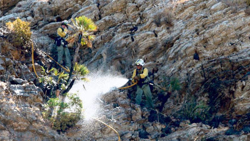 La Guardia Civil interroga a los vecinos para dar con los autores del incendio en Artà