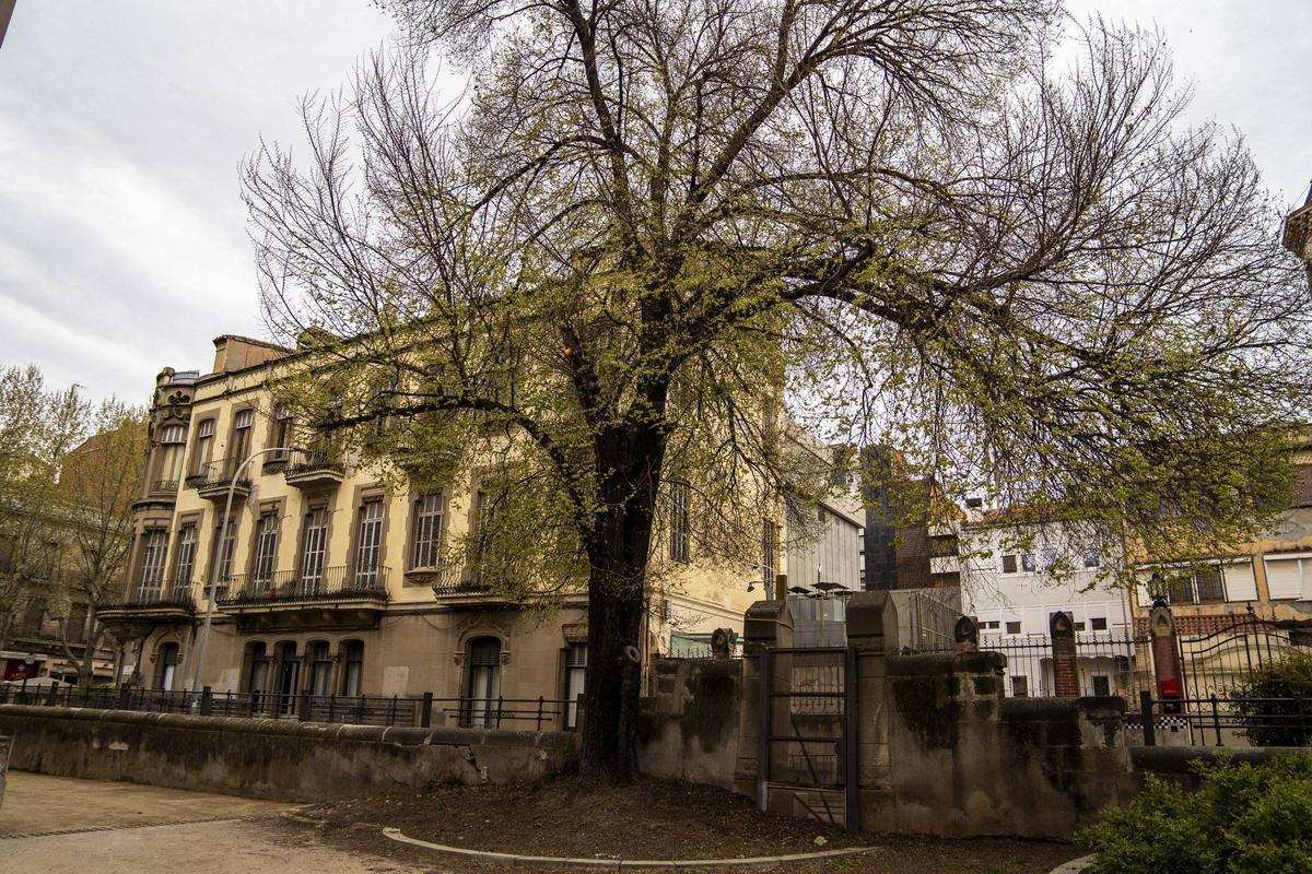 L’om que està tirant a terra una part del mur perimetral del pati del Casino
