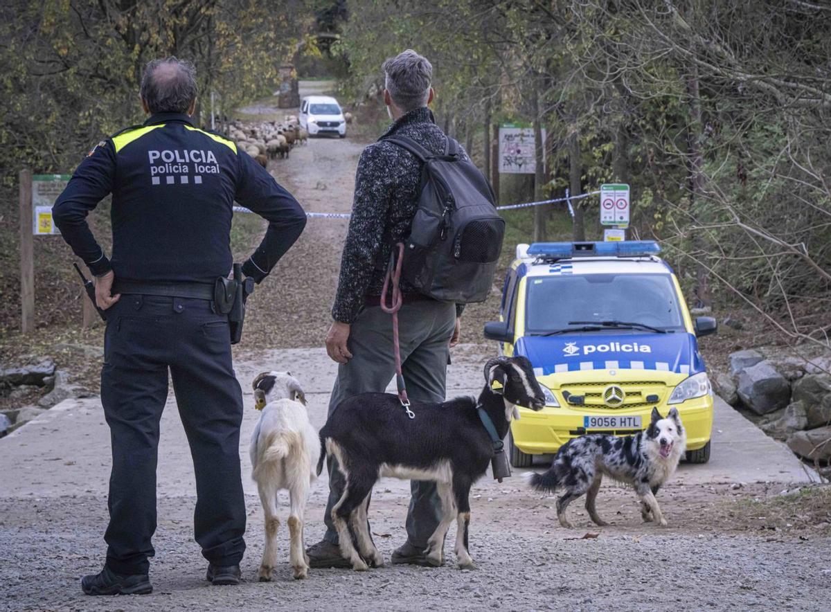 La Generalitat deixa en l’aire l’obertura de la zona zero de la pesta porcina