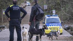La Generalitat deixa en l’aire l’obertura de la zona zero de la pesta porcina