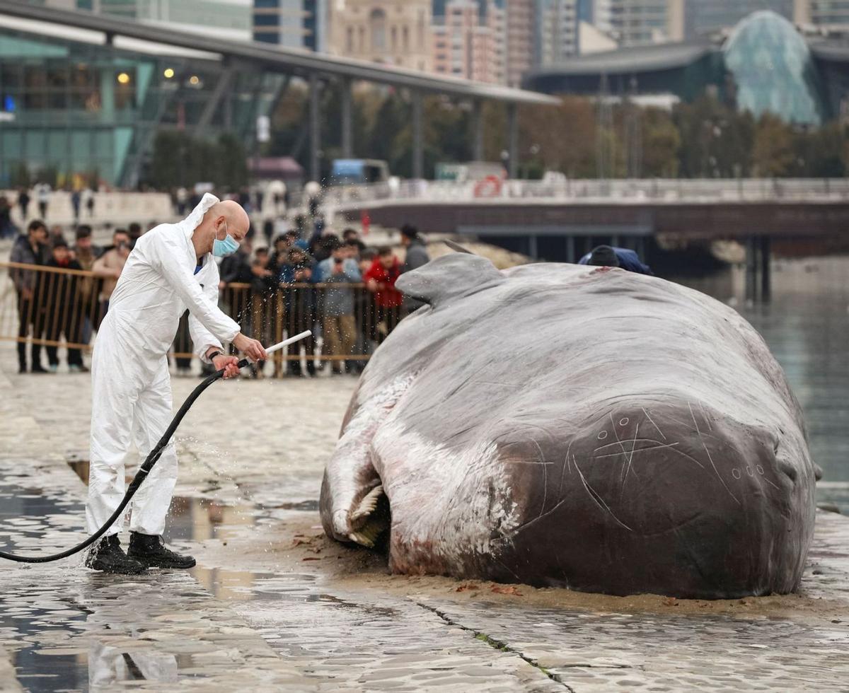 Bakú insta el món a invertir "avui" contra la crisi climàtica