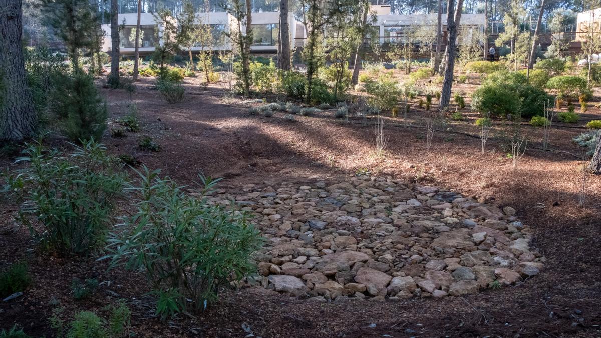 El jardín de lluvia es una infraestructura que utiliza el agua que sobra de la cisterna y de otros usos de la vivienda para regenerar los acuíferos.