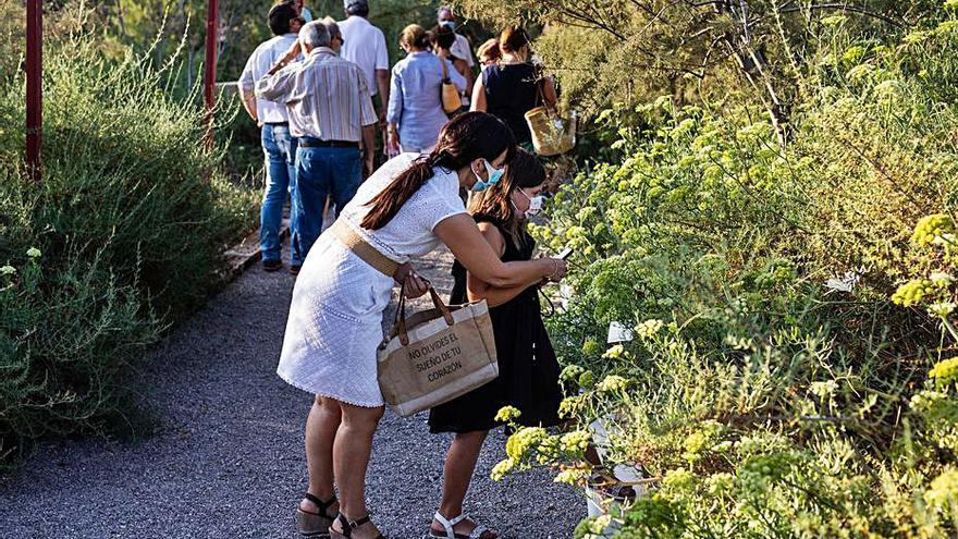 Los asistentes pudieron observar las plantas del botánico. | ZOWY VOETEN