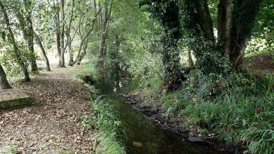 Denuncian un vertido en el río Arlós que produjo la muerte de truchas