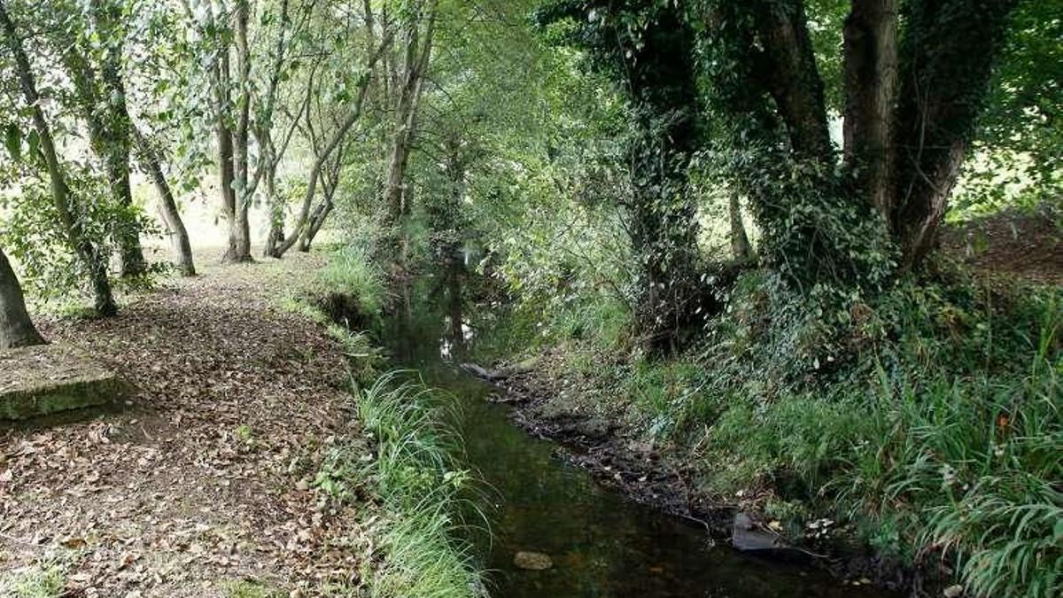 Un tramo del río Arlós.
