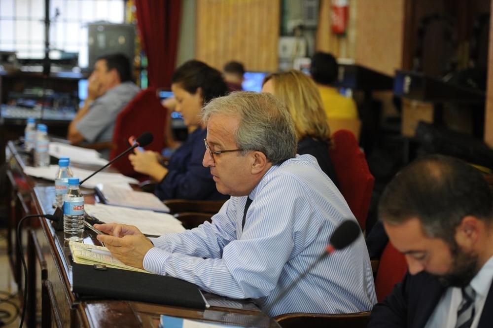 Pleno municipal con protesta