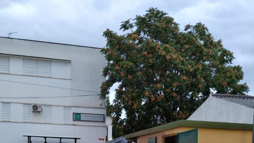 El temporal deja inundaciones y vehículos volcados en la comarca Norte de Málaga