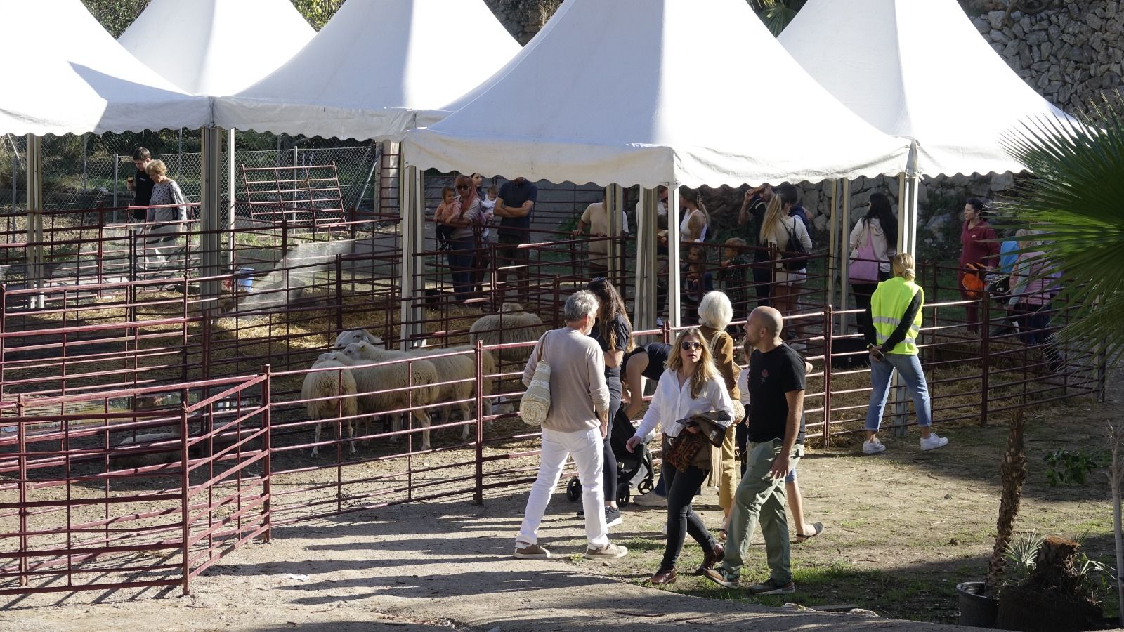 Ferias de otoño 2022: Muro, Pollença y es Capdellà exhiben su potencial ferial