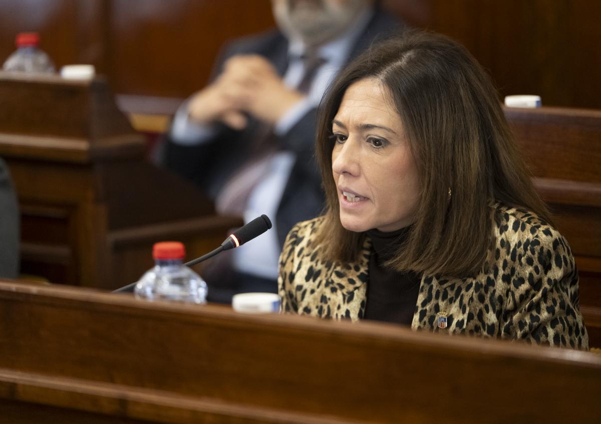 La diputada de Transparencia y Participación Ciudadana, María Tormo, en el pleno.