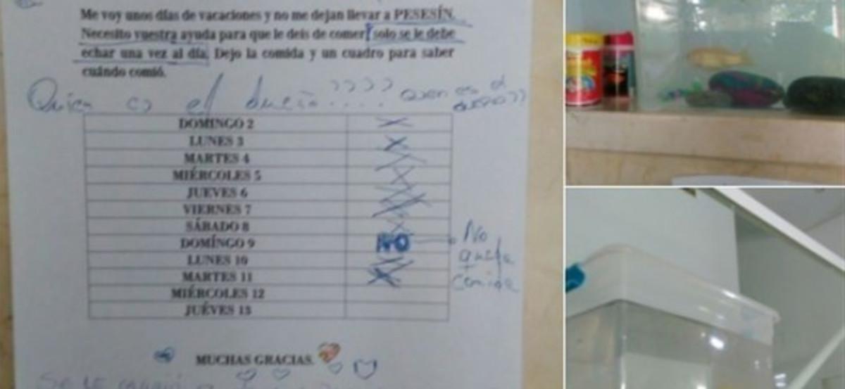 pesesn-2 pesesn-2