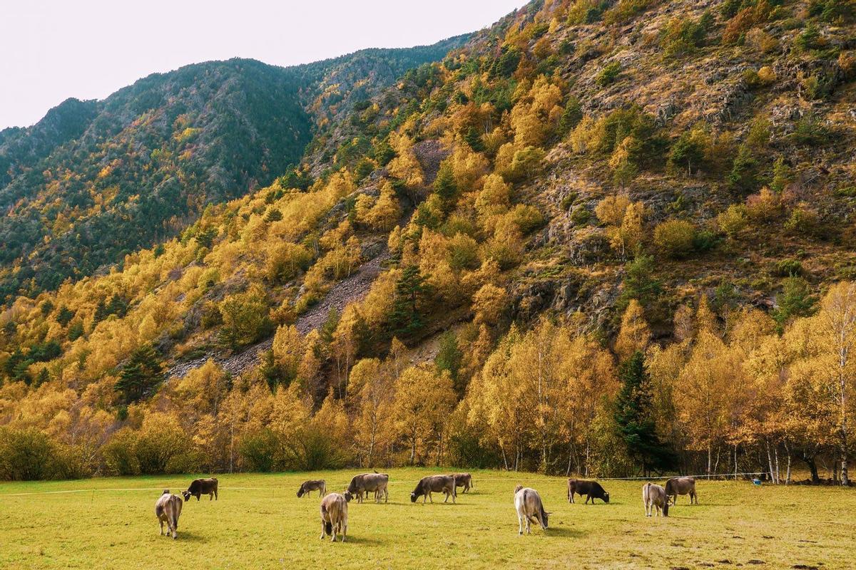 Granjas Agroturismo, España