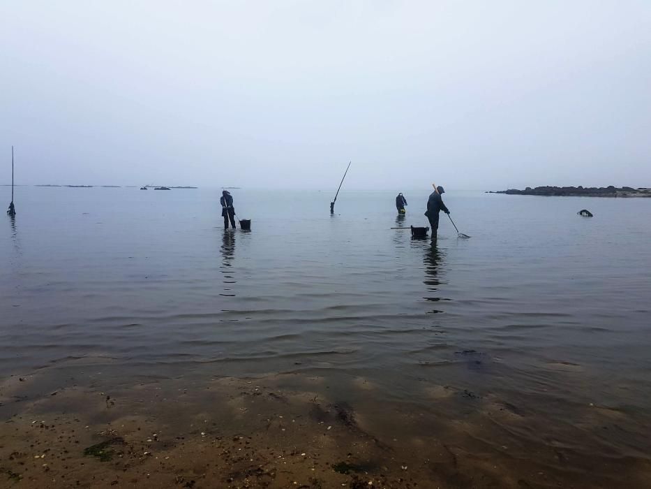 El marisqueo regresa a la ría.