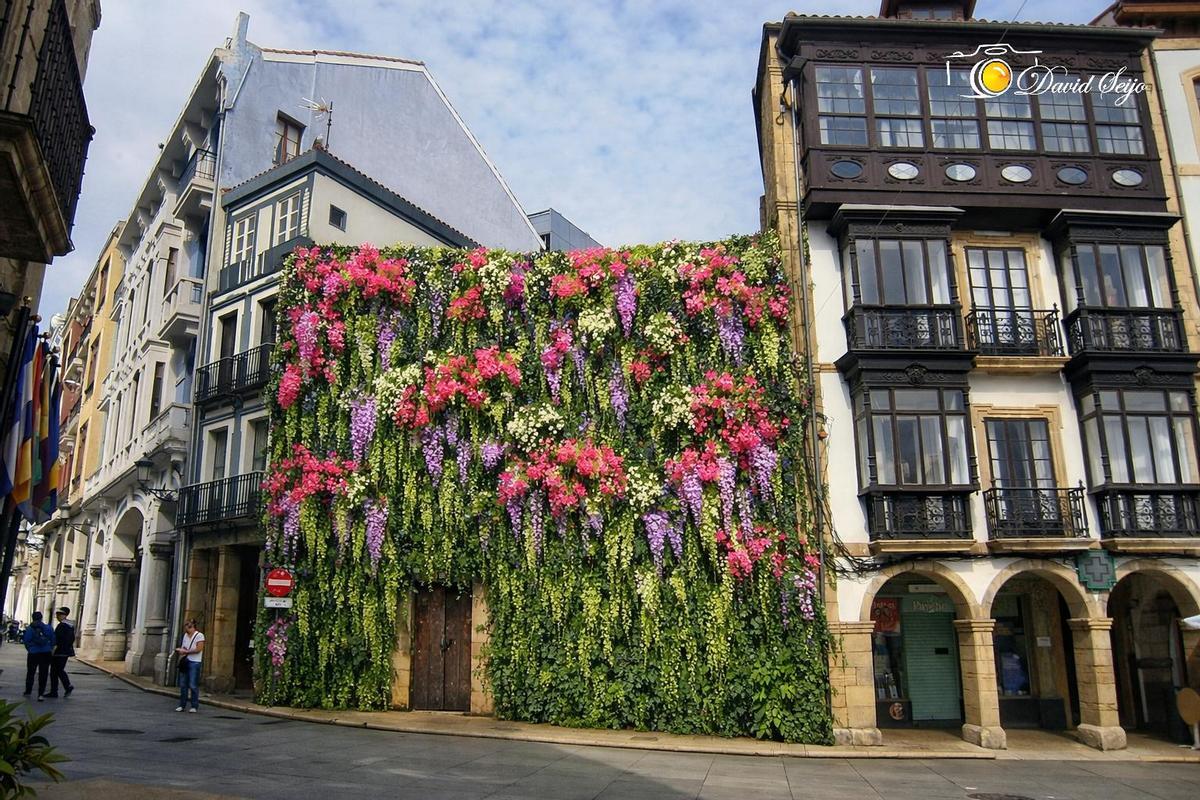 Jardín vertical planteado por Avilés en Marcha para tapar el "solar de la vergüenza"
