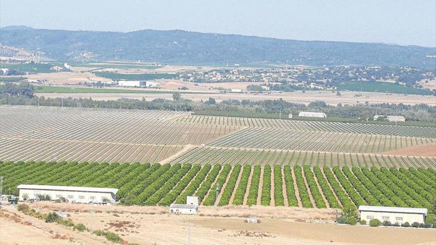 La Confederación del Guadalquivir garantiza un año normal de riego