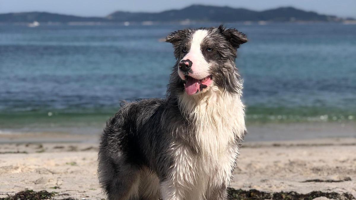 Trece, después de un buen chapuzón en el mar.