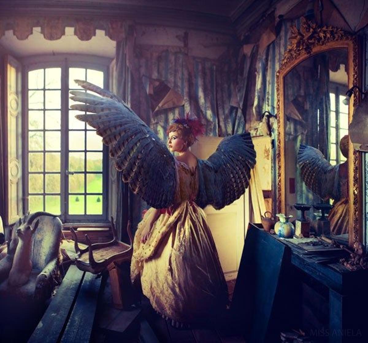 Miss Aniela