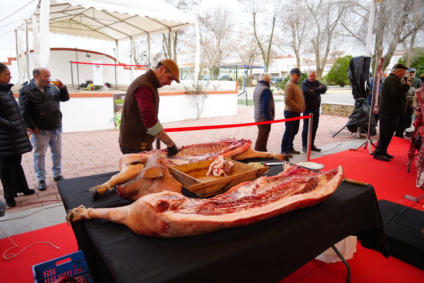 La Fiesta de la Matanza de Villanueva de Córdoba, en imágenes