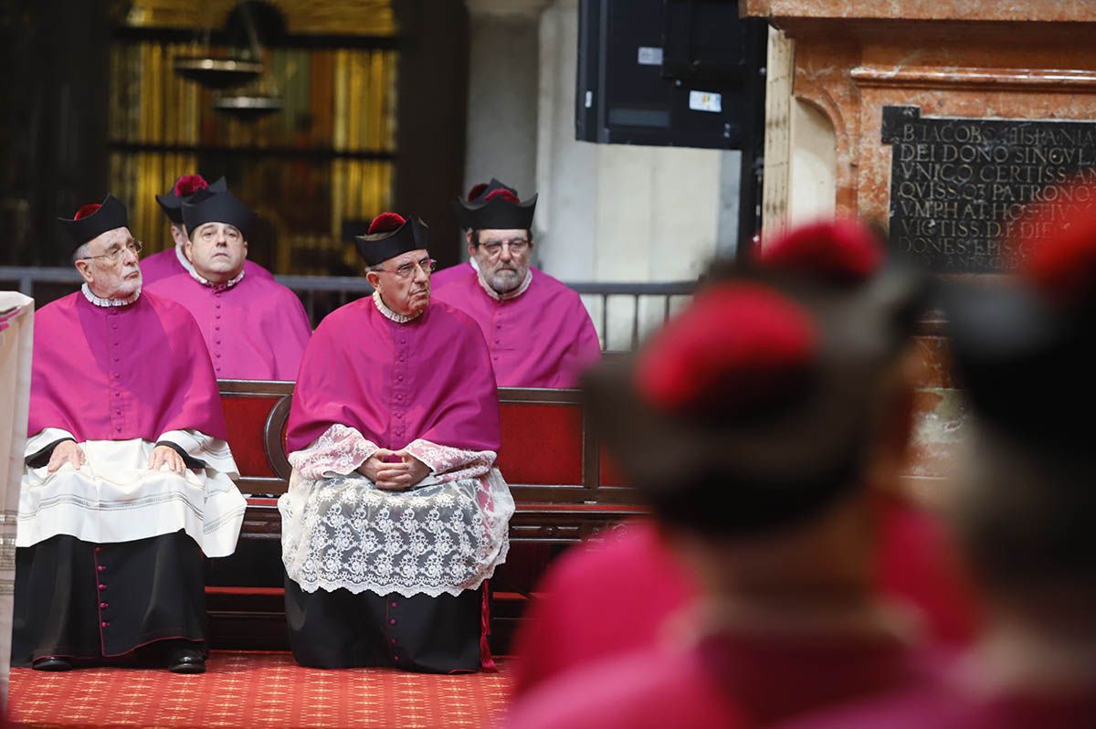 Joaquín Alberto Nieva nuevo presidente del Cabildo Catedral de Córdoba