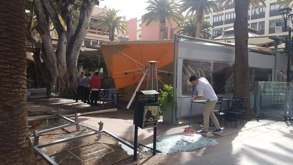 Las fuertes rachas de viento desde la noche del sábado han causado múltiples incidencias en todas las Islas, especialmente Tenerife y La Palma.